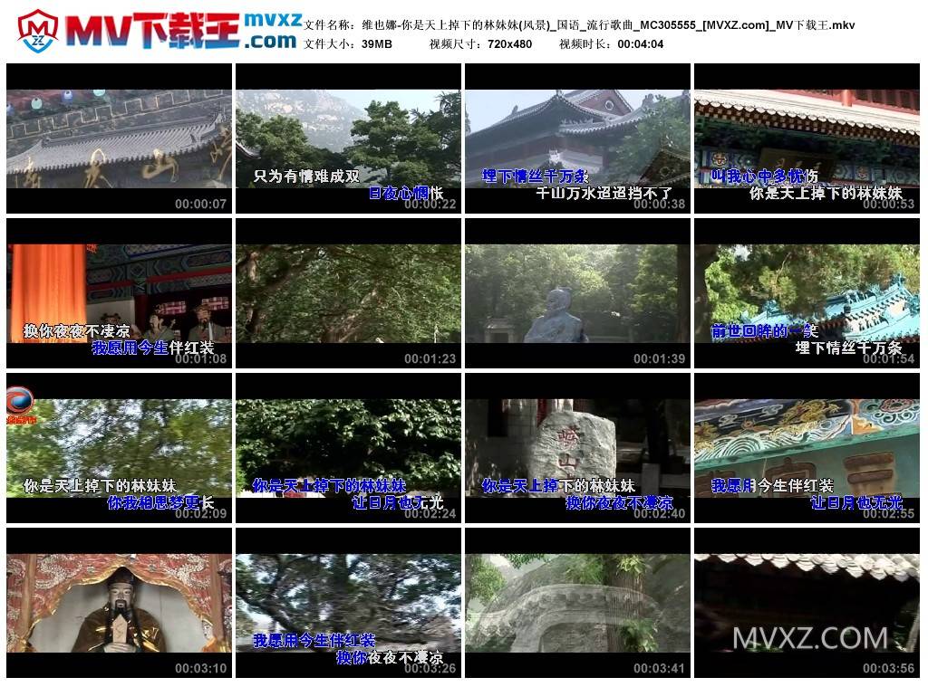 维也娜-你是天上掉下的林妹妹(风景)_国语_流行歌曲_MC305555